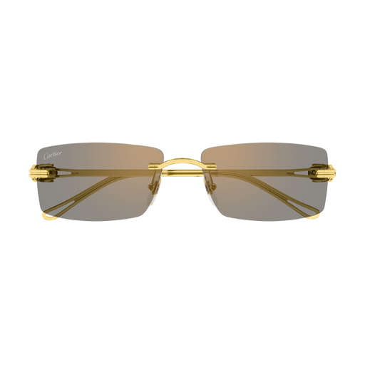 Cartier CT0647S