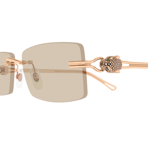 Cartier CT0647S